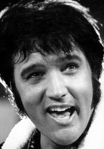Elvis - Zoey (731)2
